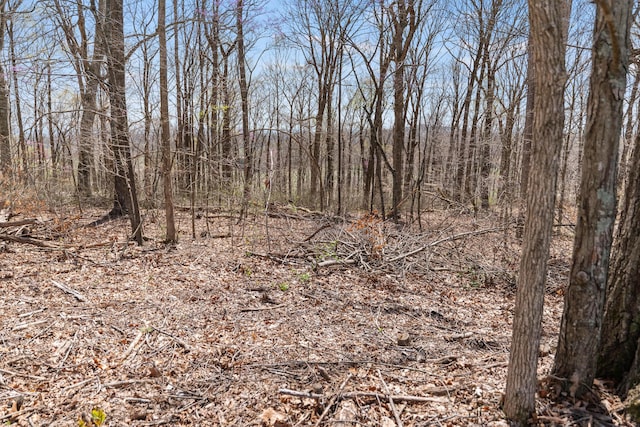 11 Hominy Hill Rd, Nancy, KY 42544 - view of nature