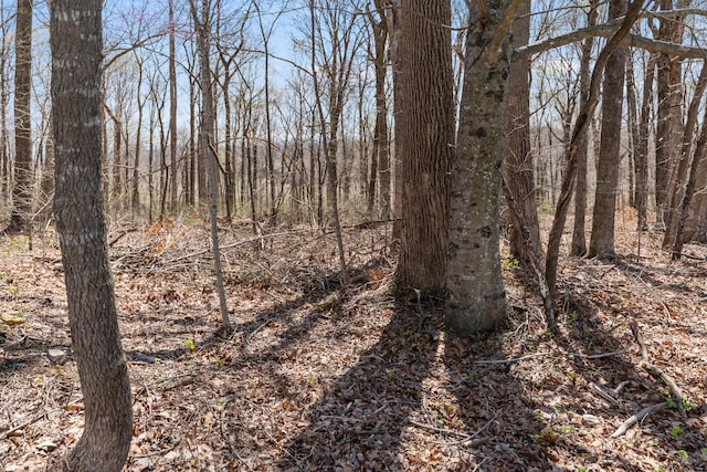 11 Hominy Hill Rd, Nancy, KY 42544 - view of nature