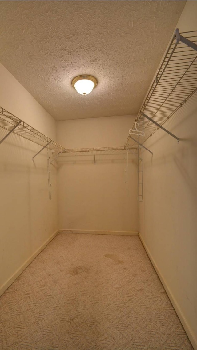 spacious closet featuring light carpet