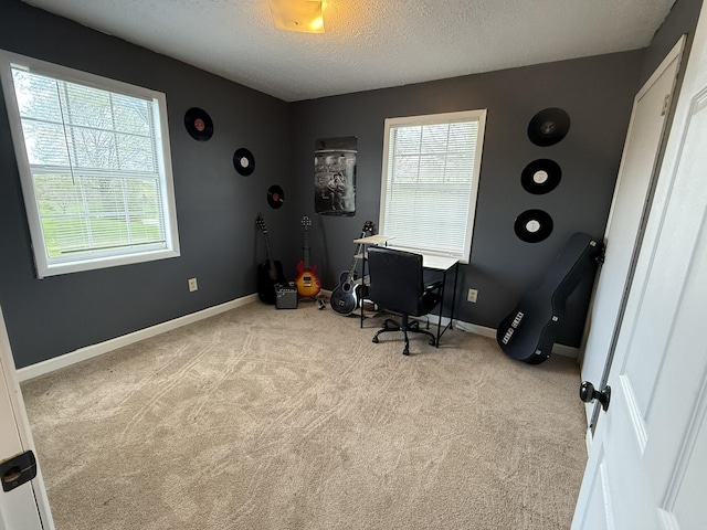 81 Central Union Rd, Albany, KY 42602 - carpeted home office with baseboards, a healthy amount of sunlight, and a textured ceiling