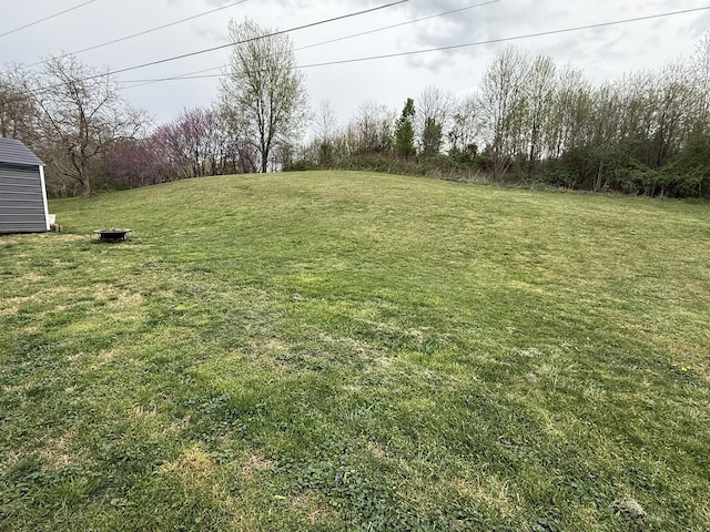 81 Central Union Rd, Albany, KY 42602 - view of yard