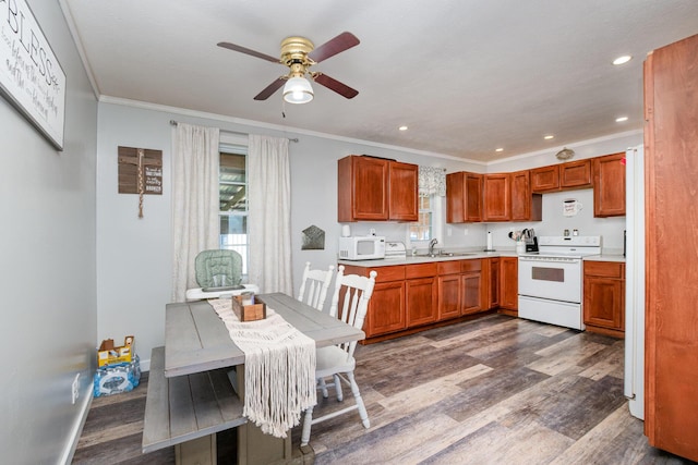 9 Blanche Ave, Williamstown, KY 41097 - kitchen with white appliances, dark wood-type flooring, a ceiling fan, light countertops, and a sink