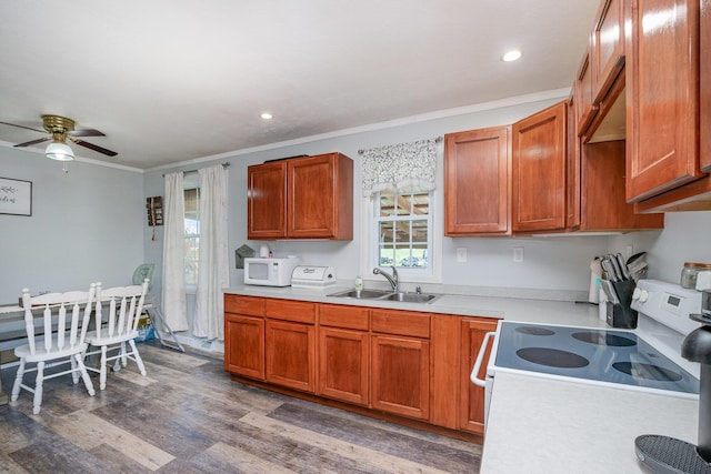 9 Blanche Ave, Williamstown, KY 41097 - kitchen featuring white appliances, light countertops, a ceiling fan, a sink, and wood finished floors