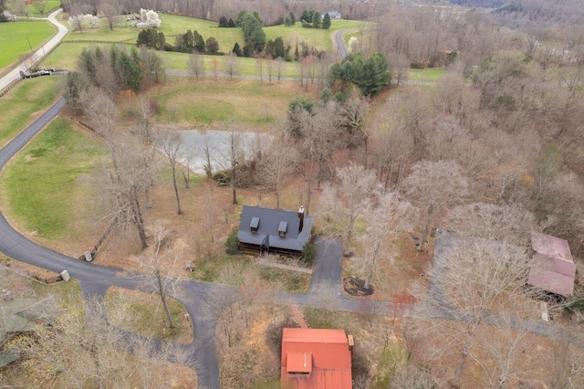 130 The Village Dr, Nancy, KY 42544 - birds eye view of property with a water view