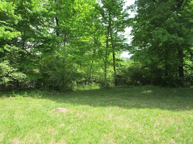 596 Overlook Dr, Lancaster, KY 40444 - view of yard featuring a wooded view