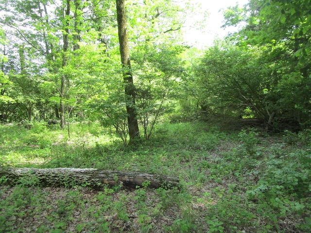 596 Overlook Dr, Lancaster, KY 40444 - view of wooded area