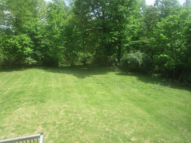 596 Overlook Dr, Lancaster, KY 40444 - view of grassy yard