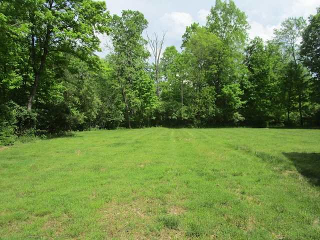 596 Overlook Dr, Lancaster, KY 40444 - view of green lawn with a forest view