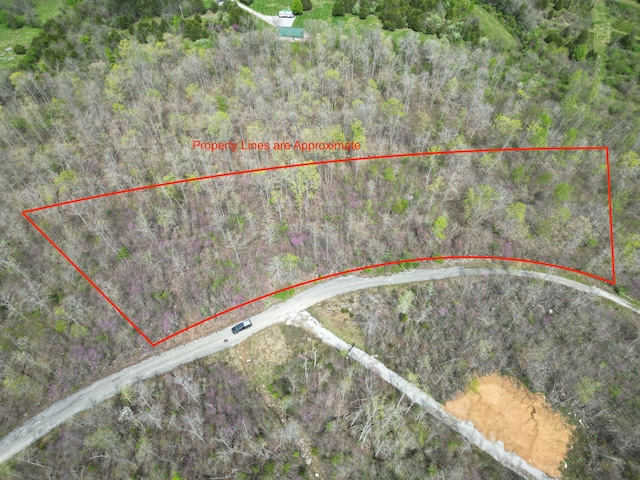 TRACT26 Tateville Antioch Rd, Burnside, KY 42519