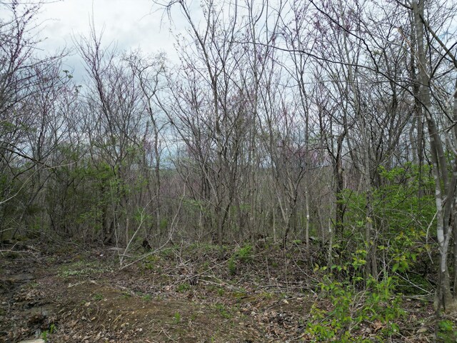 TRACT26 Tateville Antioch Rd, Burnside, KY 42519