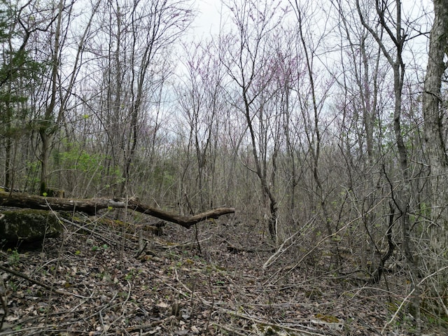 TRACT26 Tateville Antioch Rd, Burnside, KY 42519