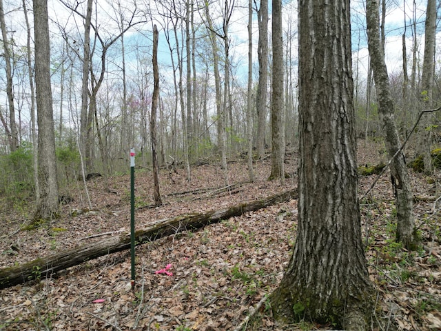 TRACT26 Tateville Antioch Rd, Burnside, KY 42519