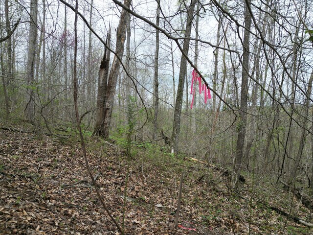 TRACT26 Tateville Antioch Rd, Burnside, KY 42519