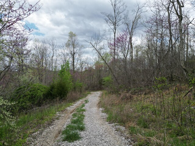 TRACT26 Tateville Antioch Rd, Burnside, KY 42519