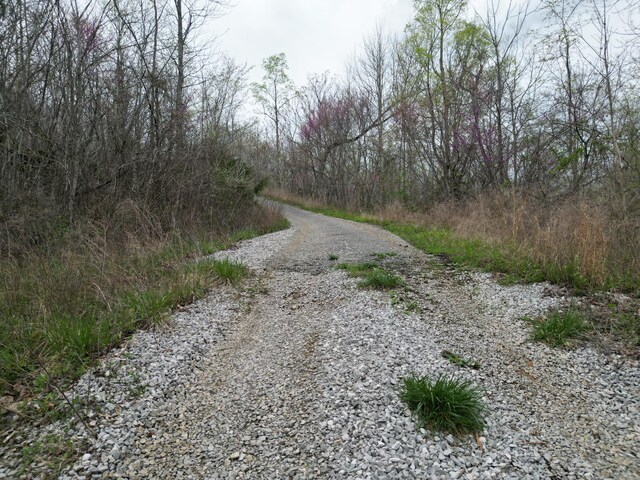 TRACT26 Tateville Antioch Rd, Burnside, KY 42519