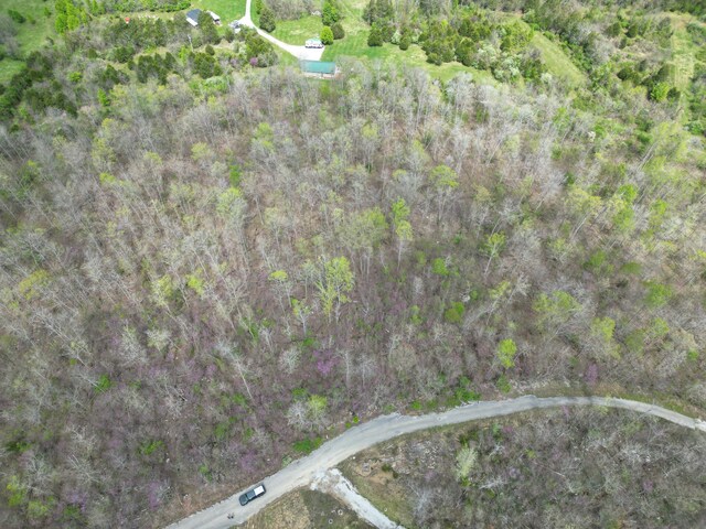TRACT26 Tateville Antioch Rd, Burnside, KY 42519