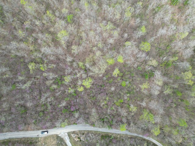 TRACT26 Tateville Antioch Rd, Burnside, KY 42519