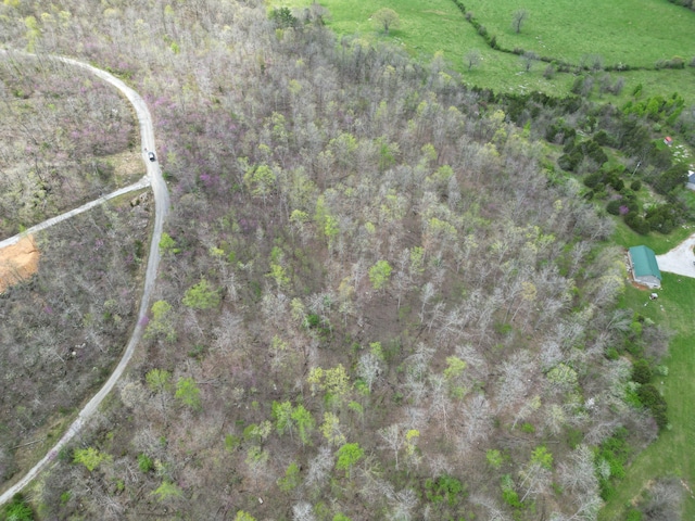 TRACT26 Tateville Antioch Rd, Burnside, KY 42519