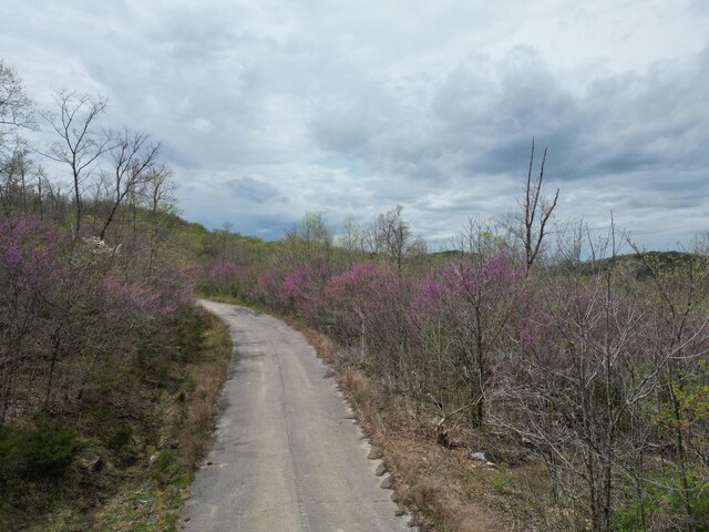 TRACT26 Tateville Antioch Rd, Burnside, KY 42519