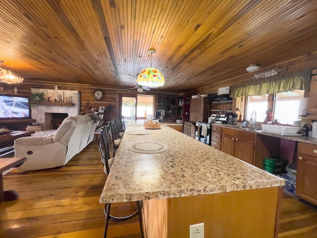 350 Wilderness Ln, Morehead, KY 40351 - kitchen featuring open floor plan, a stone fireplace, stainless steel electric stove, brown cabinetry, and dark wood-type flooring