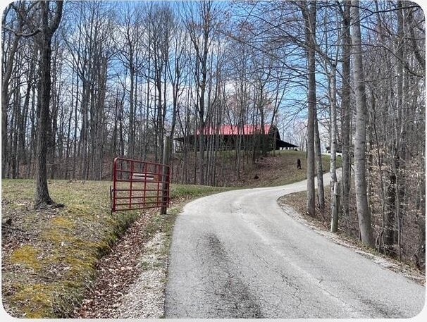 350 Wilderness Ln, Morehead, KY 40351 - view of street featuring aphalt driveway