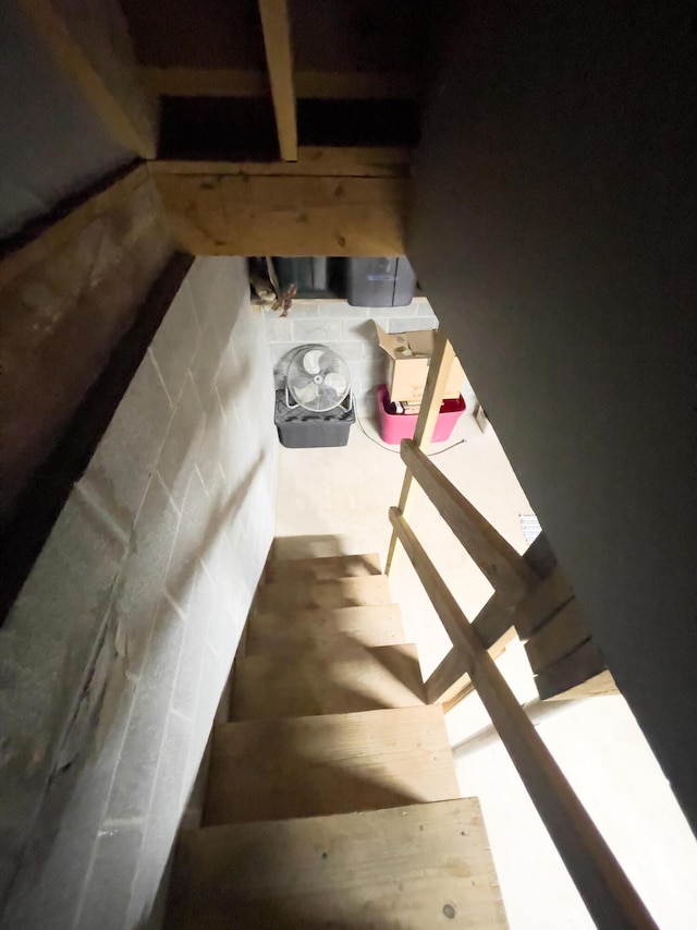 350 Wilderness Ln, Morehead, KY 40351 - view of stairs
