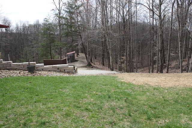 350 Wilderness Ln, Morehead, KY 40351 - view of yard with a wooded view