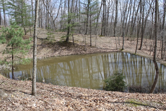 350 Wilderness Ln, Morehead, KY 40351 - property view of water