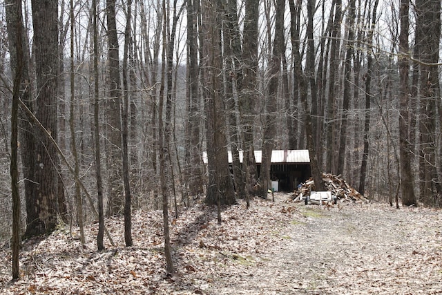 350 Wilderness Ln, Morehead, KY 40351 - exterior space featuring a view of trees and an outbuilding