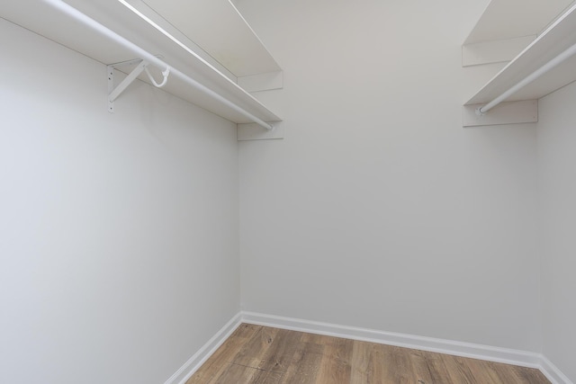 walk in closet featuring wood finished floors