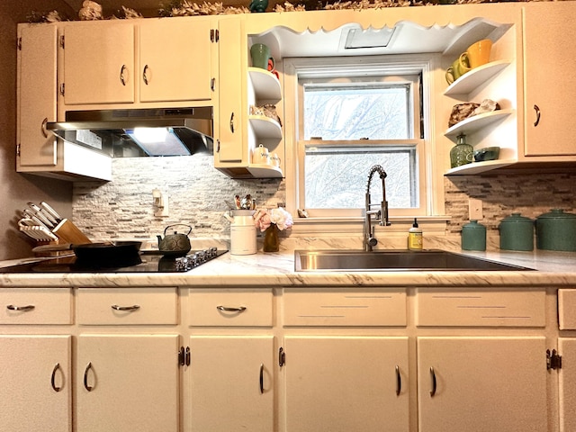 3473 Grundy Rd, Somerset, KY 42501 - kitchen featuring under cabinet range hood, open shelves, a sink, and backsplash