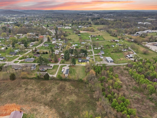 bird's eye view