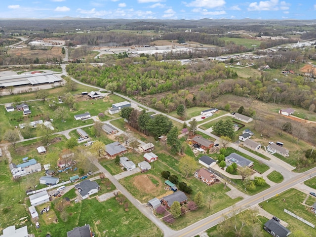 bird's eye view