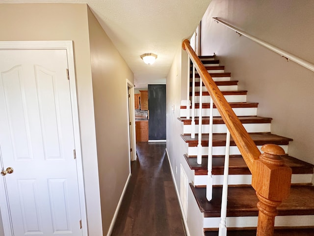 305 Saddle Wood Ct, Berea, KY 40403 - stairway with wood finished floors and baseboards