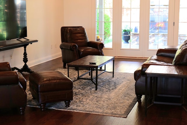 2524 Pascoli Pl, Lexington, KY 40509 - living room with baseboards and wood finished floors
