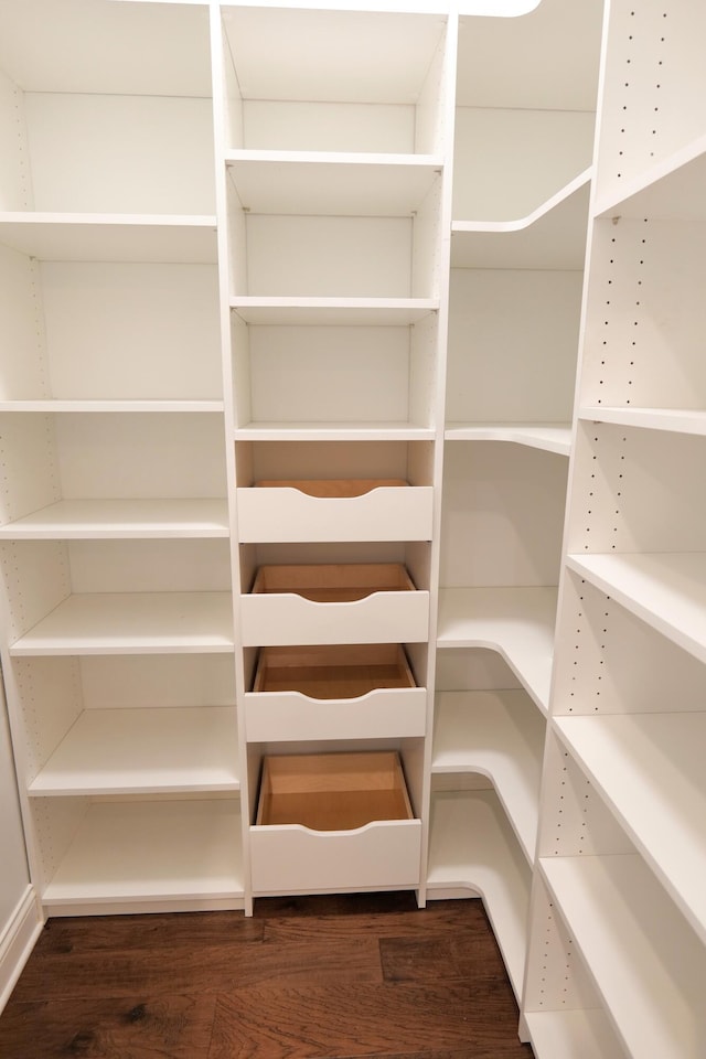 2524 Pascoli Pl, Lexington, KY 40509 - view of pantry