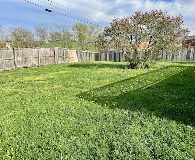 111 Keystone Dr, Richmond, KY 40475 - view of yard featuring a fenced backyard