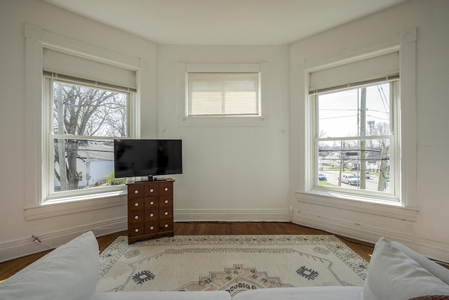 bedroom with baseboards, multiple windows, and wood finished floors