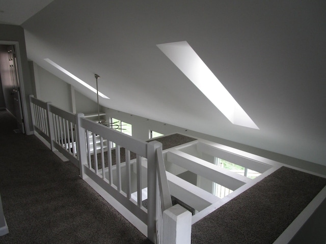 staircase featuring carpet and lofted ceiling with skylight