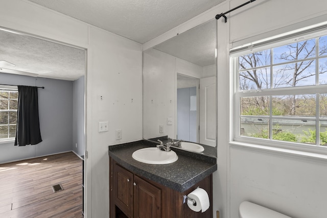 bathroom with vanity, wood finished floors, a textured ceiling, and visible vents
