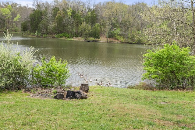 property view of water featuring a view of trees
