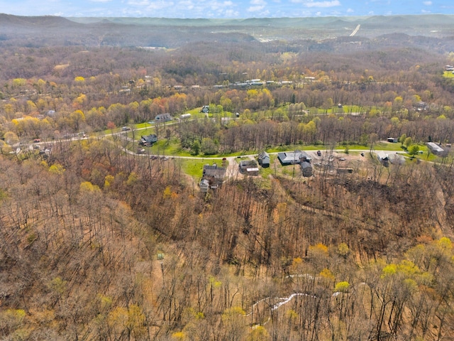88 Hawkins Ln, Clay City, KY 40312 - drone / aerial view with a forest view and a mountain view