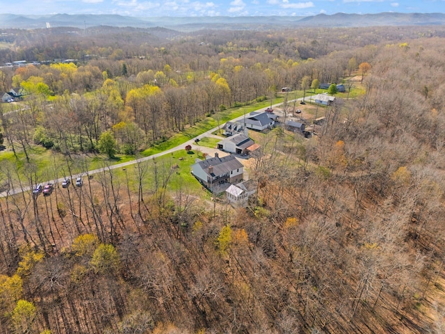 88 Hawkins Ln, Clay City, KY 40312 - drone / aerial view with a view of trees and a mountain view