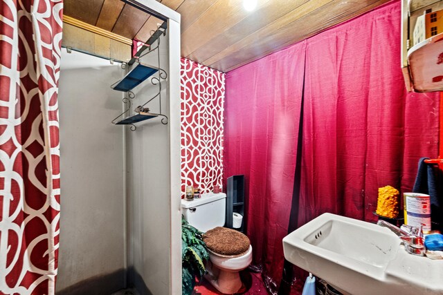 5245 US-68 W, Gravel Switch, KY 40328 - bathroom with toilet, a sink, and a shower with shower curtain