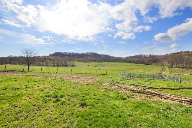 5245 US-68 W, Gravel Switch, KY 40328 - view of yard with a view of rural / pastoral area