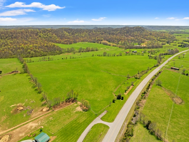 5245 US-68 W, Gravel Switch, KY 40328 - view of rural area with a pastoral area