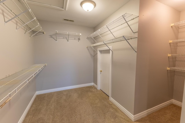 walk in closet with visible vents and carpet flooring