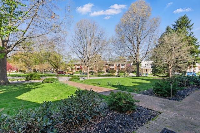 216 Ridgeway Rd, Lexington, KY 40502 - view of property's community featuring a yard