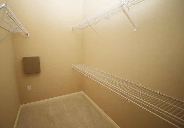 walk in closet with carpet