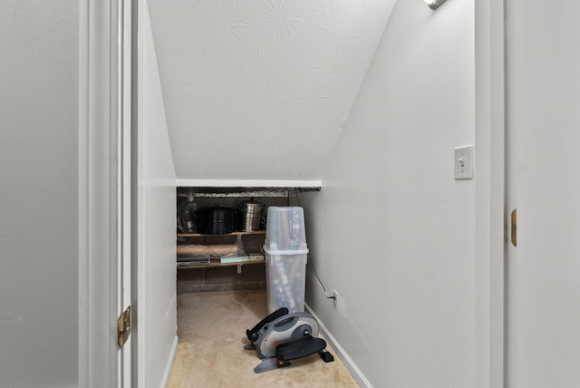 interior details featuring carpet flooring